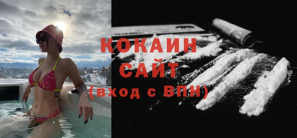 стафф Арсеньев