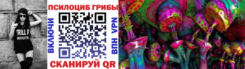 Галлюциногенные грибы Cubensis  Купить  Снежногорск 